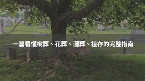 花葬|2024 想了解花葬？一次看懂環保葬及花葬費用解析